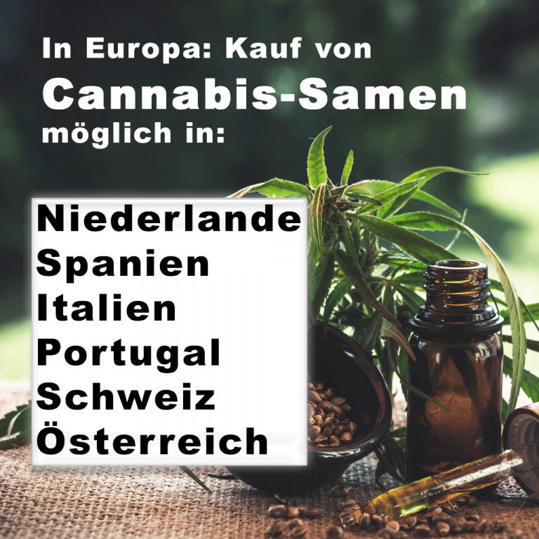 EU: Wo kann man Cannabis-Samen kaufen?